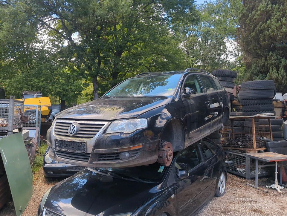 Schlachtfest Passat 3C 1.9Tdi