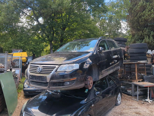 Schlachtfest Passat 3C 1.9Tdi
