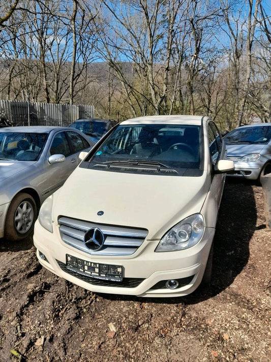 MERCEDES B-KLASSE T245 Schlachtfest w245