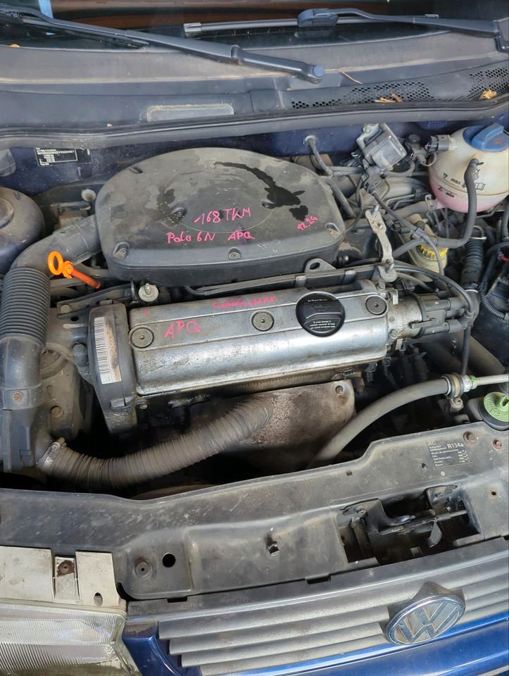 Polo 6N APQ Motor mit Getriebe dxp 1.4
