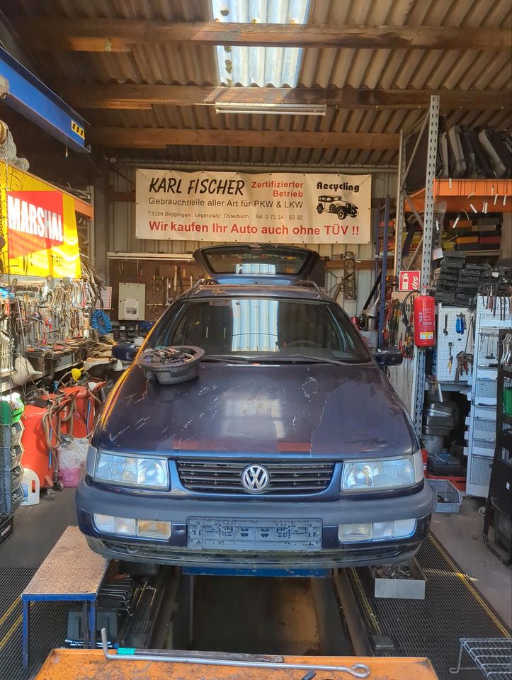 Schlachtfest Passat 35i teile